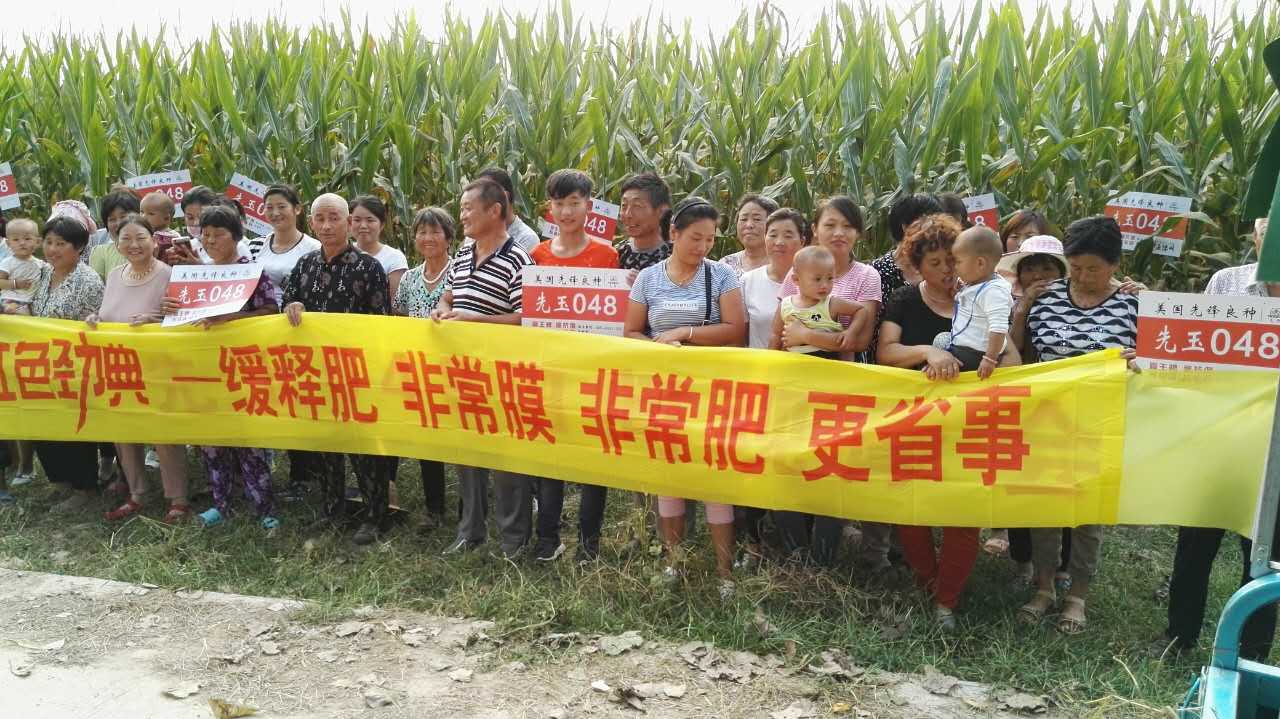 青青草视频污APP玉米緩釋肥觀摩會